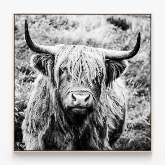 Archibald Canvas print in oak frame