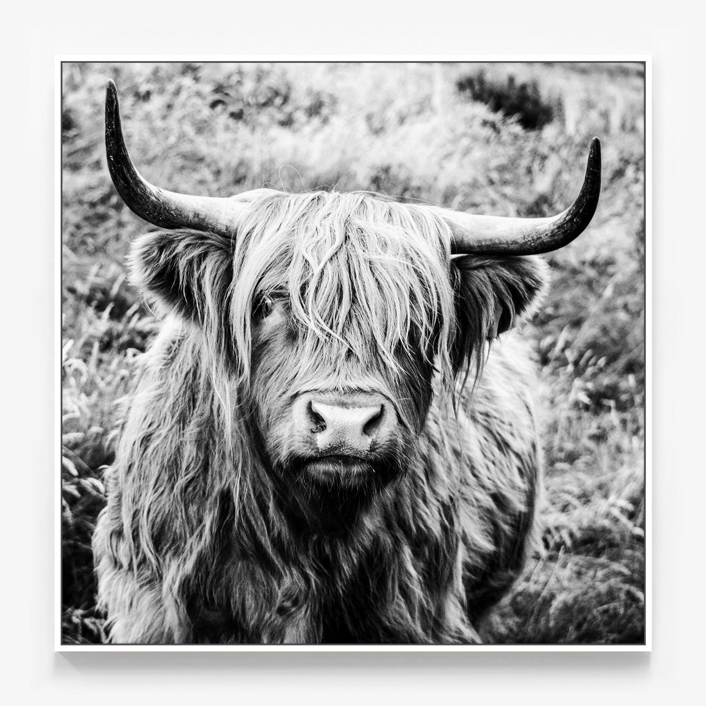Archibald Canvas