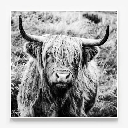 Archibald Canvas