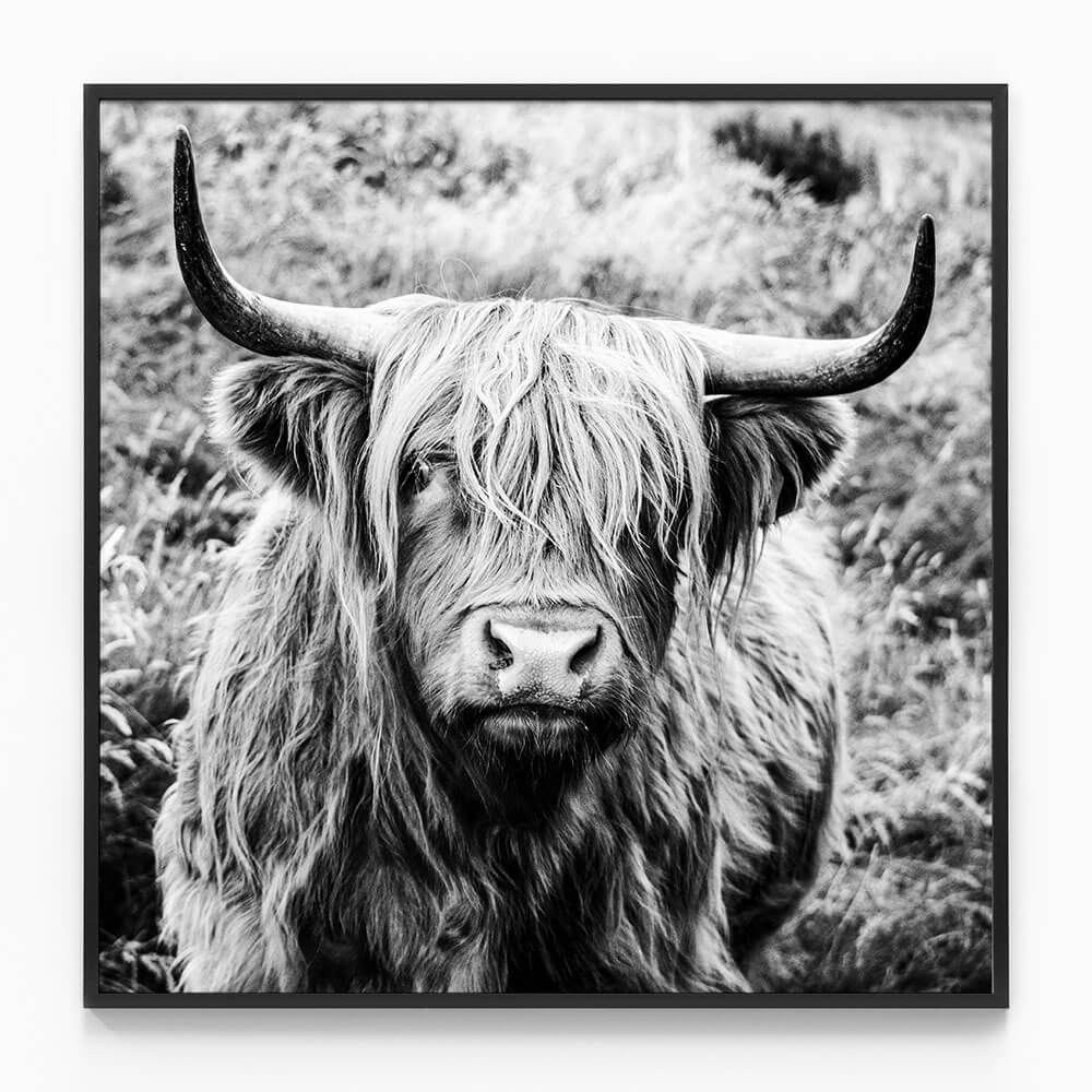 Archibald