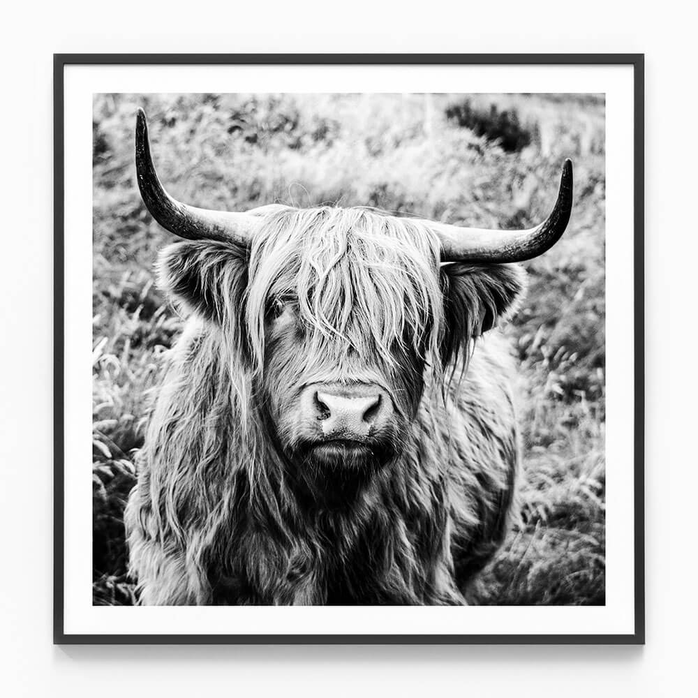 Archibald