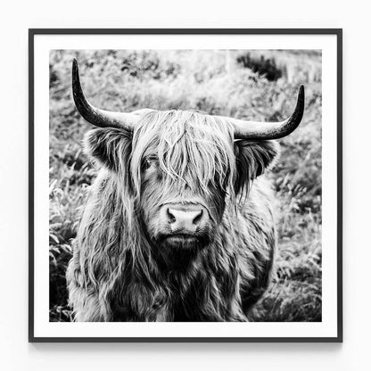 Archibald