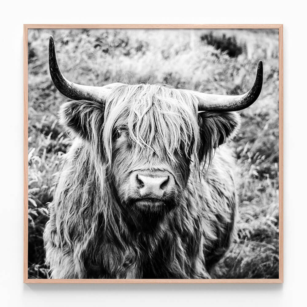 Archibald