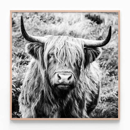 Archibald
