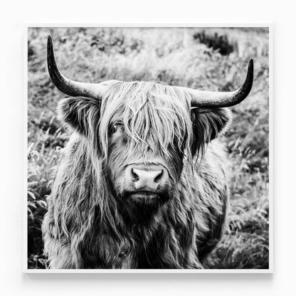 Archibald