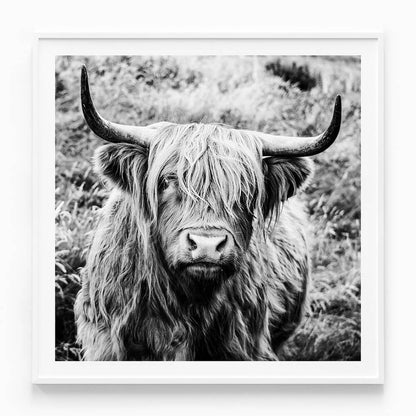 Archibald