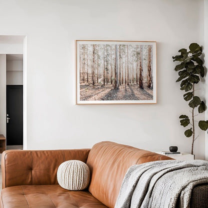Eucalyptus Landscape