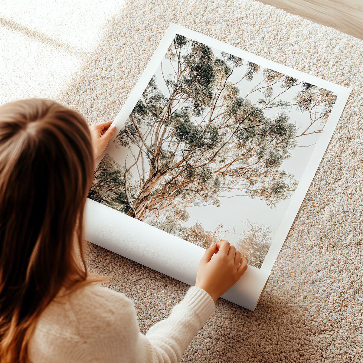 Person unrolling a wall art print of Australian gum trees on a carpeted floor