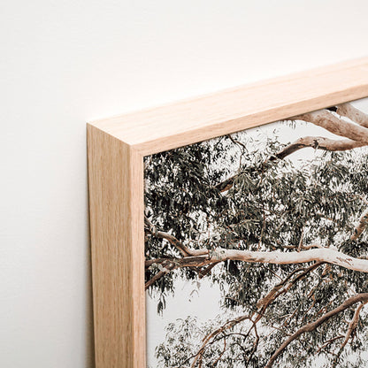 Australian Hills Canvas corner detail