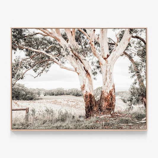 Australian Hills Canvas wall art with oak float frame