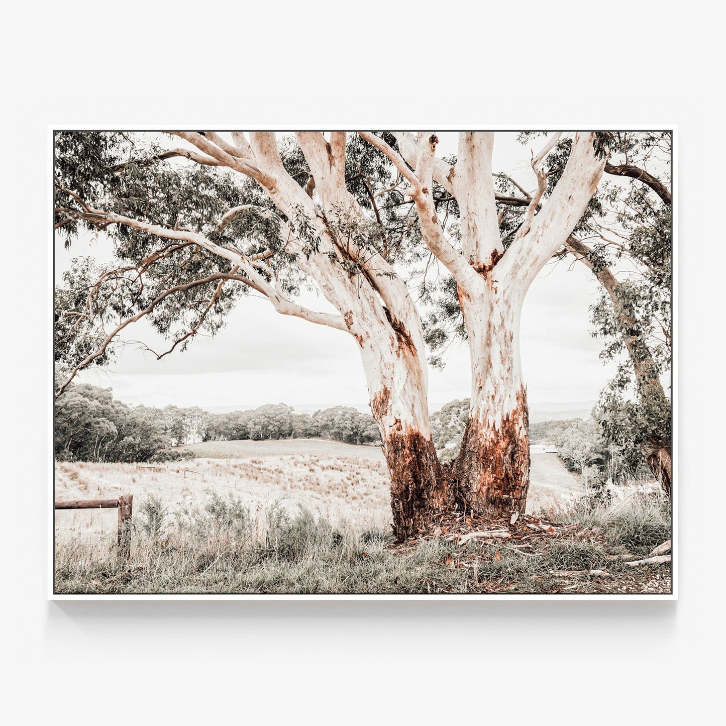 Australian Hills Canvas