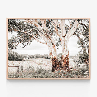 Australian Hills
