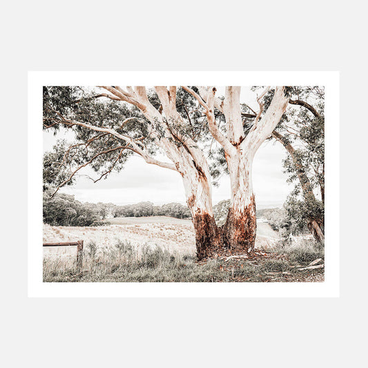 A photographic art print of the Australian Hills landscape with an old gum tree in the foreground. 