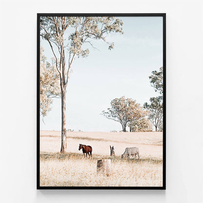 Australian Landscape
