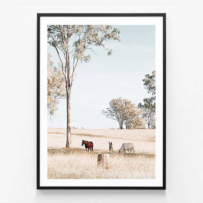 Australian Landscape