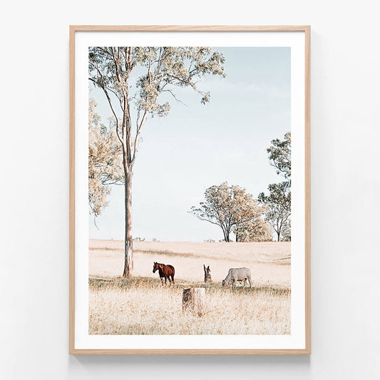Australian Landscape
