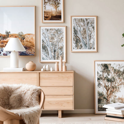 Eucalyptus View