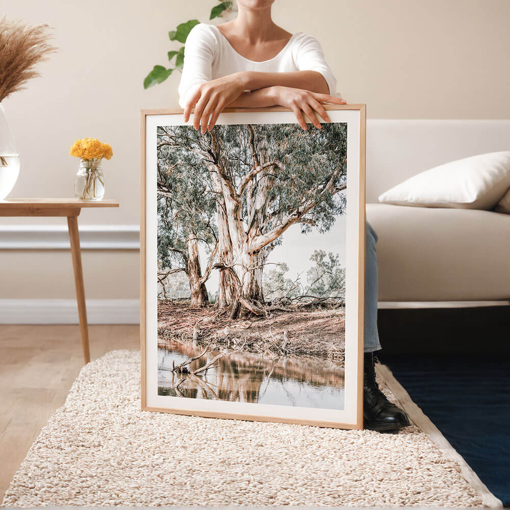 Australian-Landscape-River-Gum-Tree-Framed-Photographic-Print.jpg