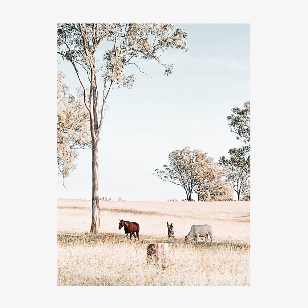 Australian Landscape