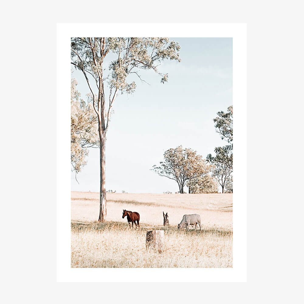 Australian Landscape