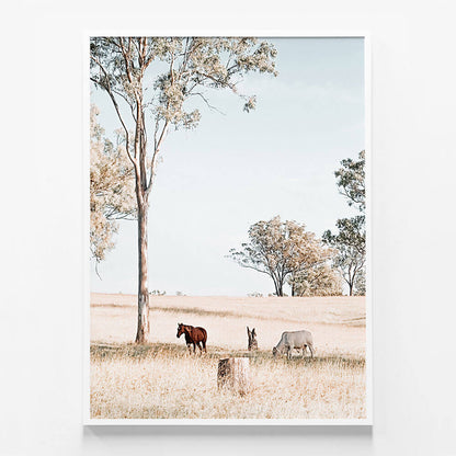 Australian Landscape
