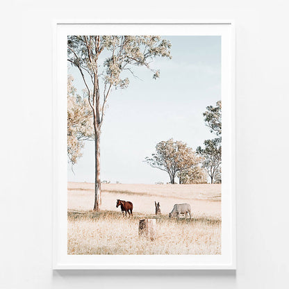 Australian Landscape