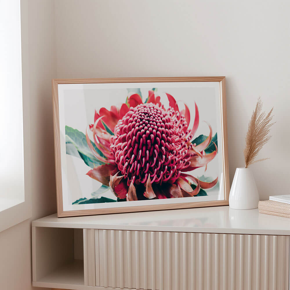 Australian-Waratah-Flower-Framed-Art-Print.jpg