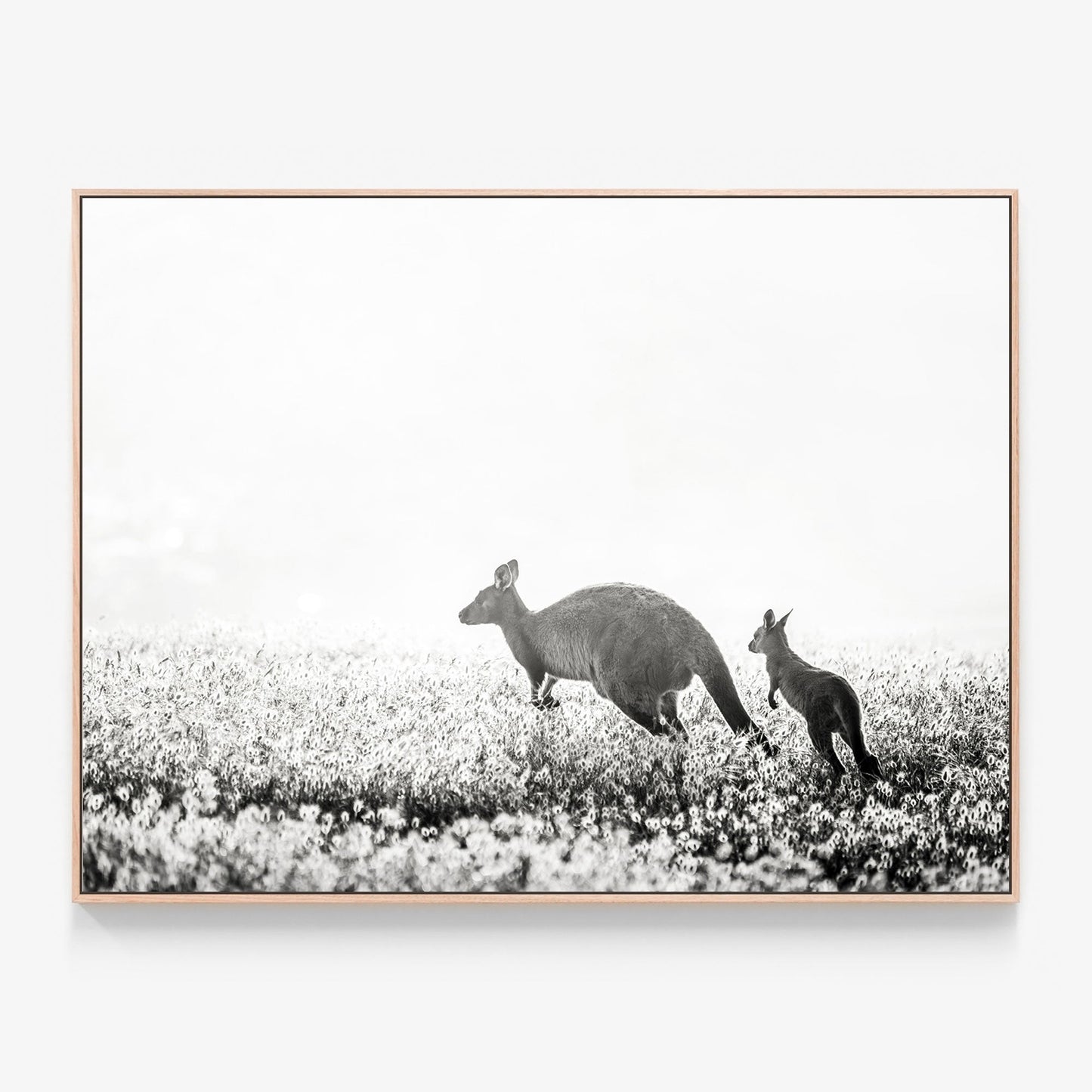 B&W Kangaroos Canvas wall art with oak float frame
