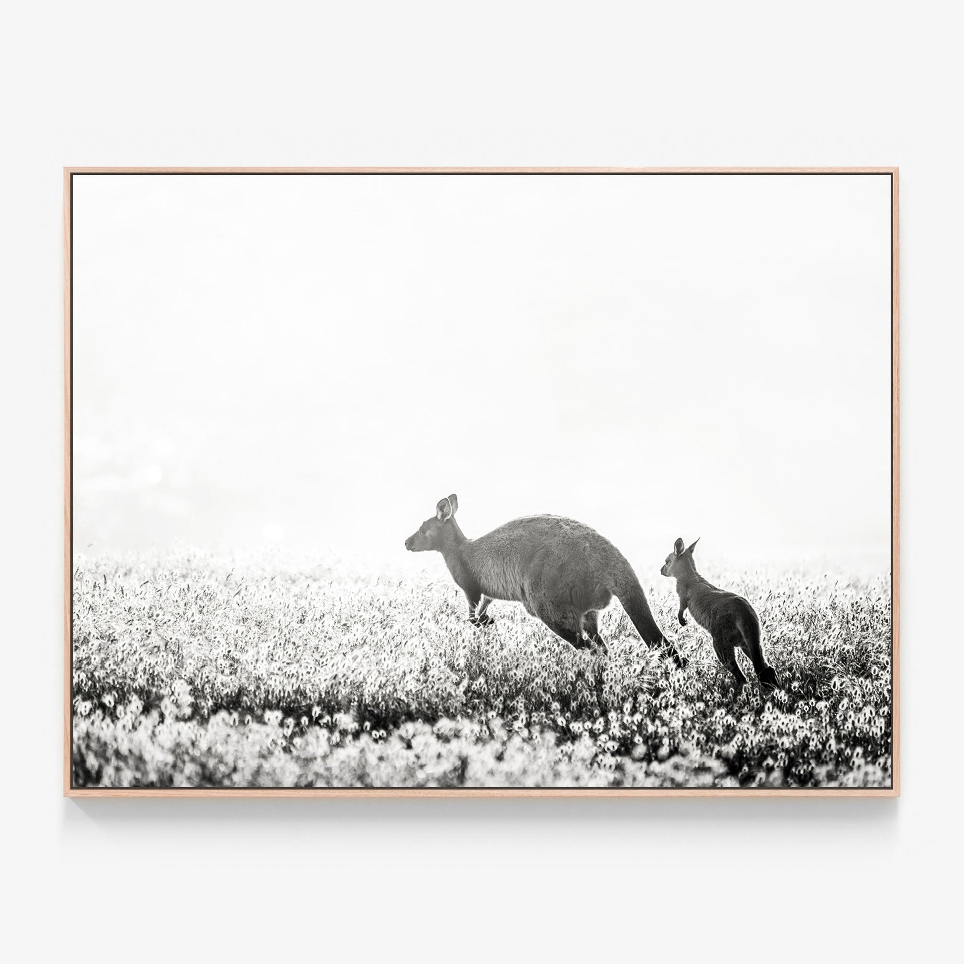 B&W Kangaroos Canvas wall art with oak float frame