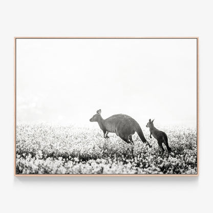 B&W Kangaroos Canvas wall art with oak float frame