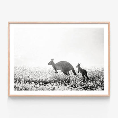A black and white photo print featuring Kangaroos and framed in an oak frame.