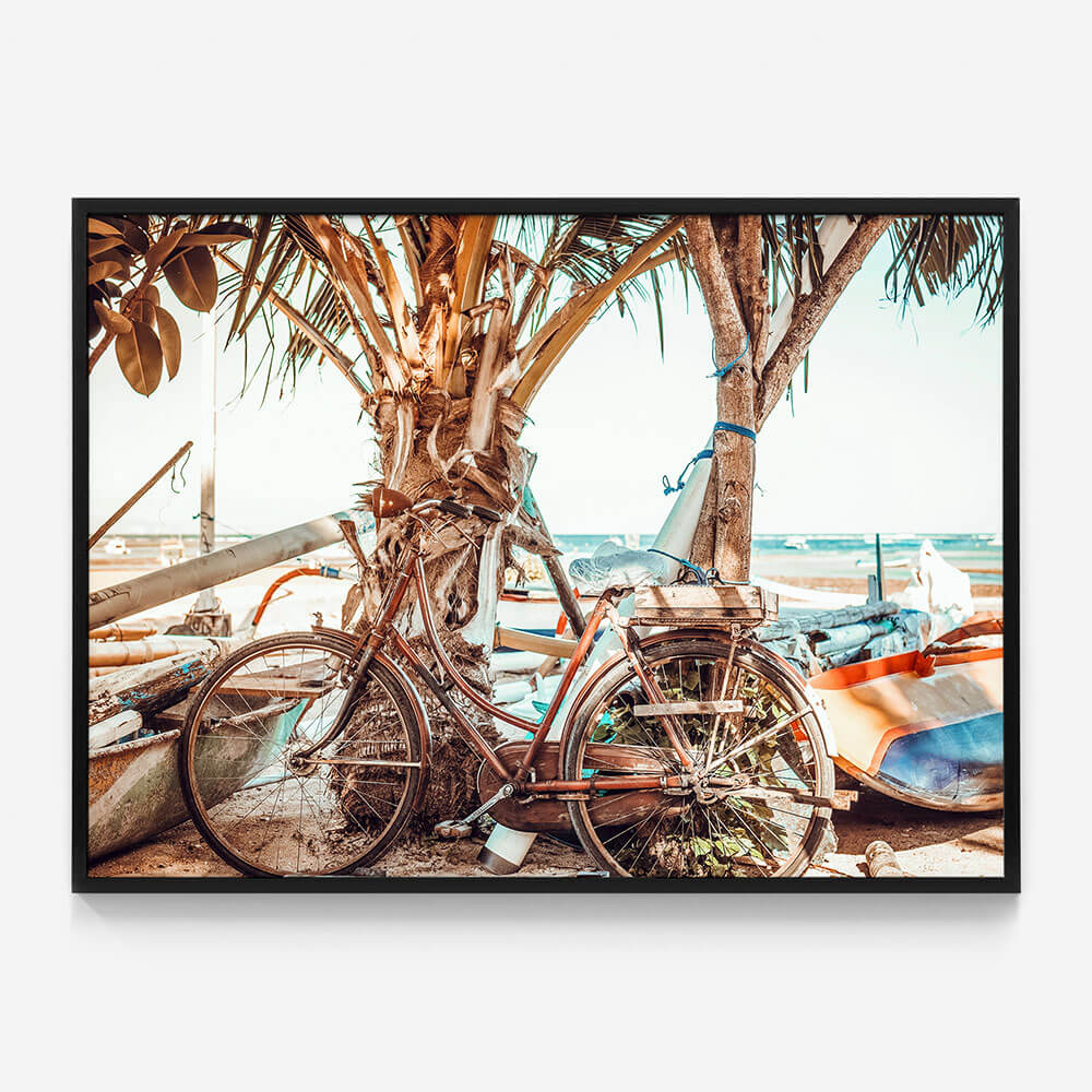 Beach Cruiser