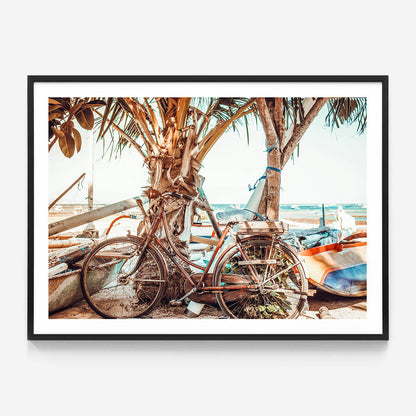 Beach Cruiser
