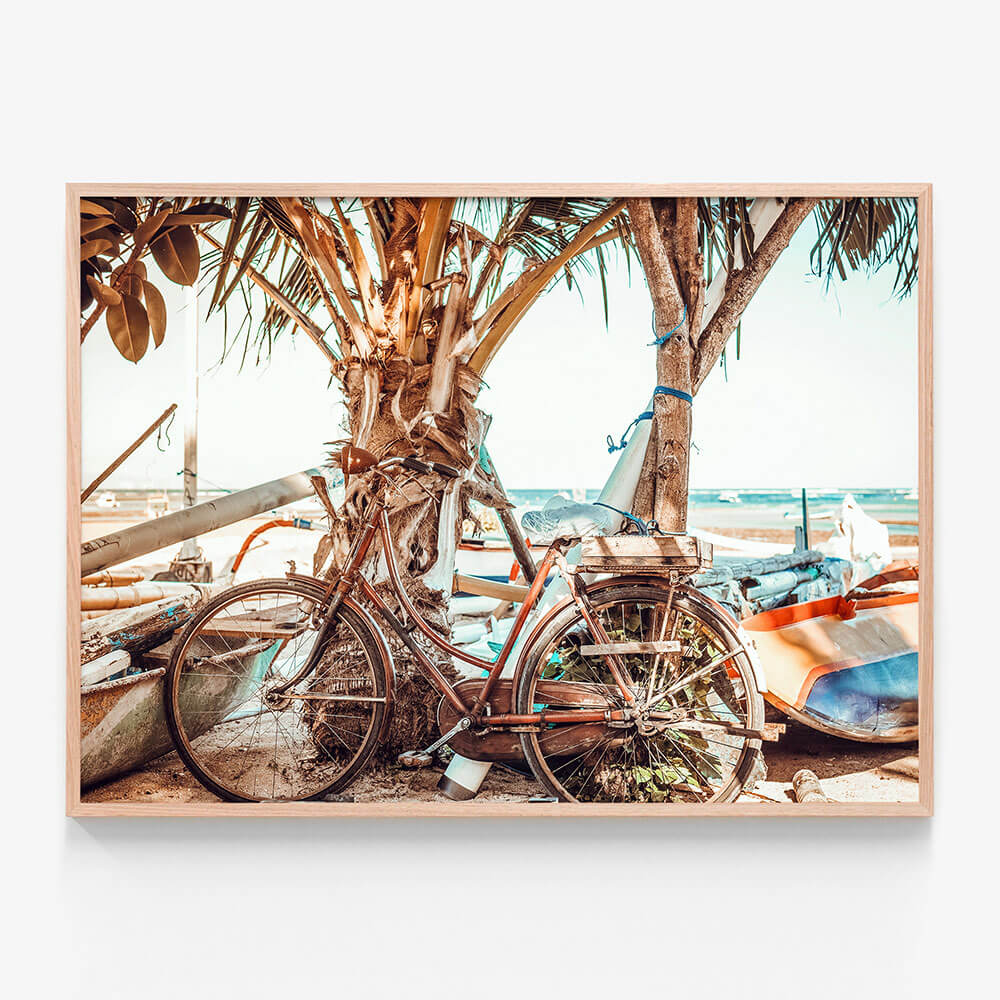 Beach Cruiser