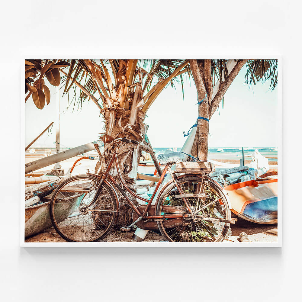 Beach Cruiser