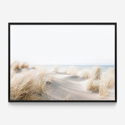 Beach Dunes