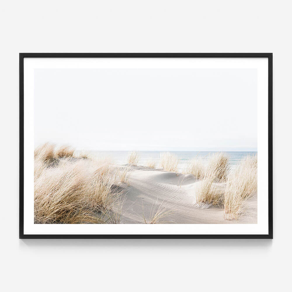 Beach Dunes