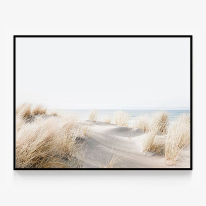 Beach Dunes Canvas