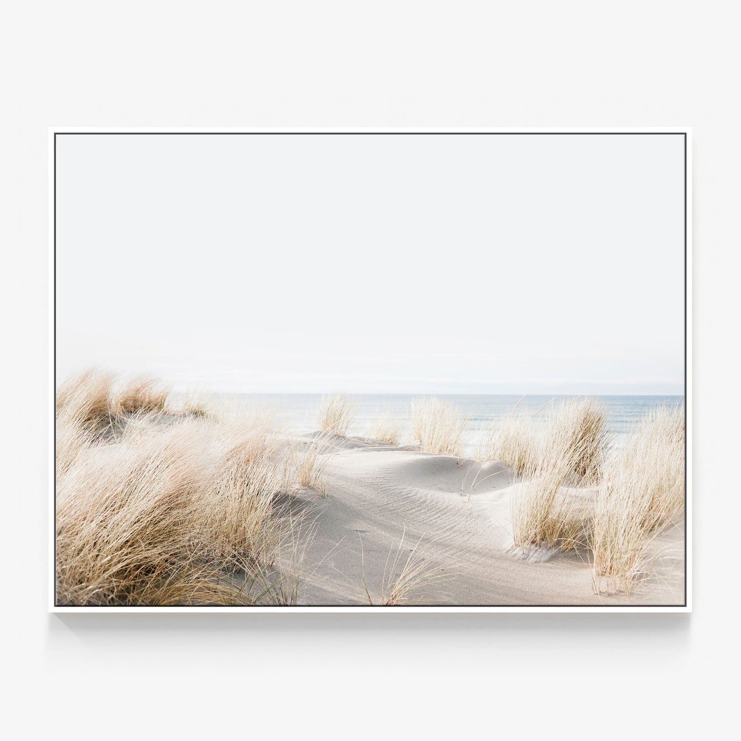 Beach Dunes Canvas