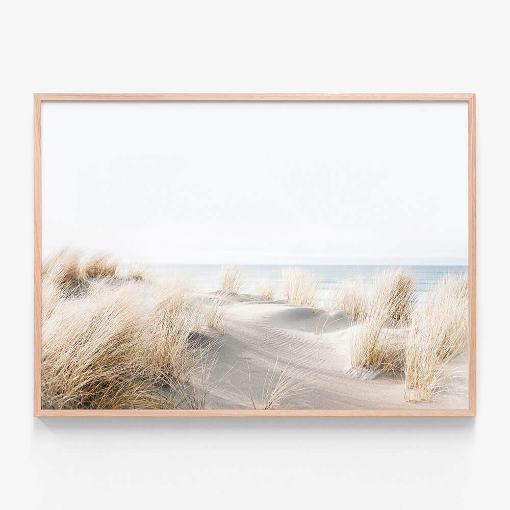 Beach Dunes