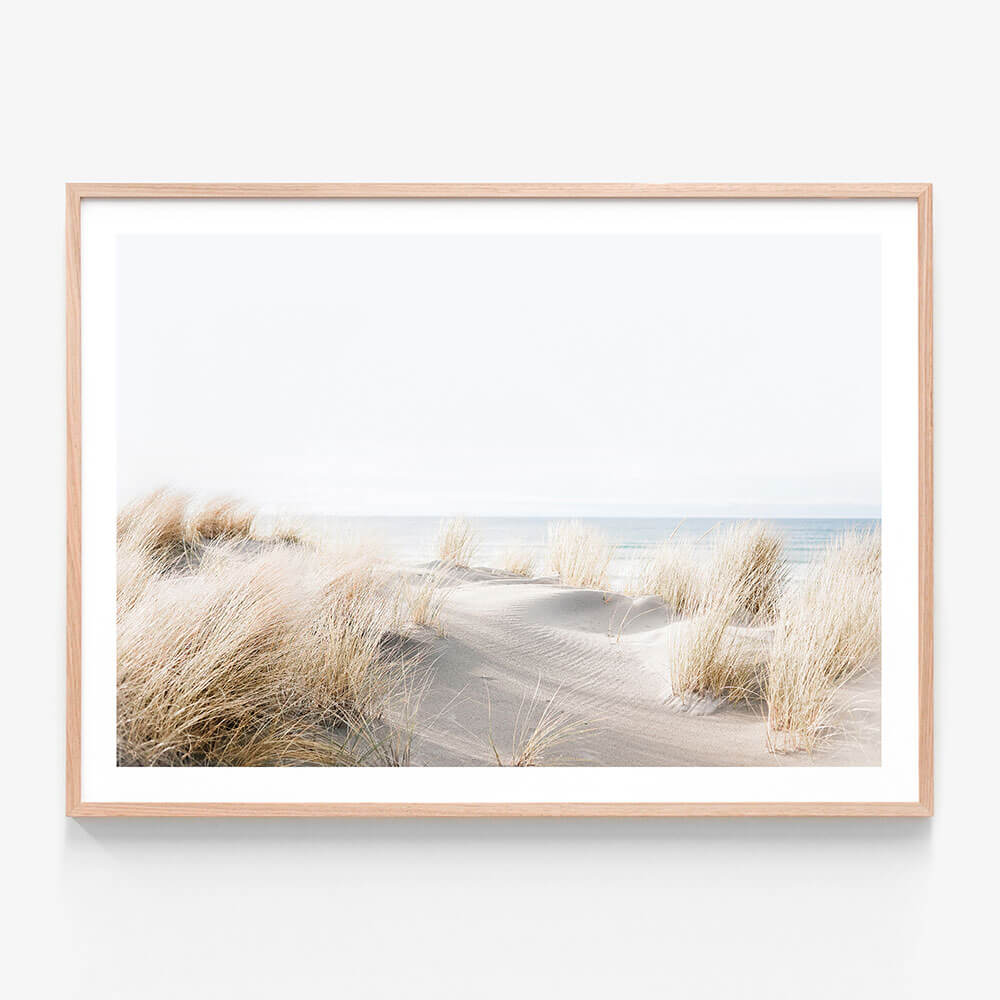 Beach Dunes