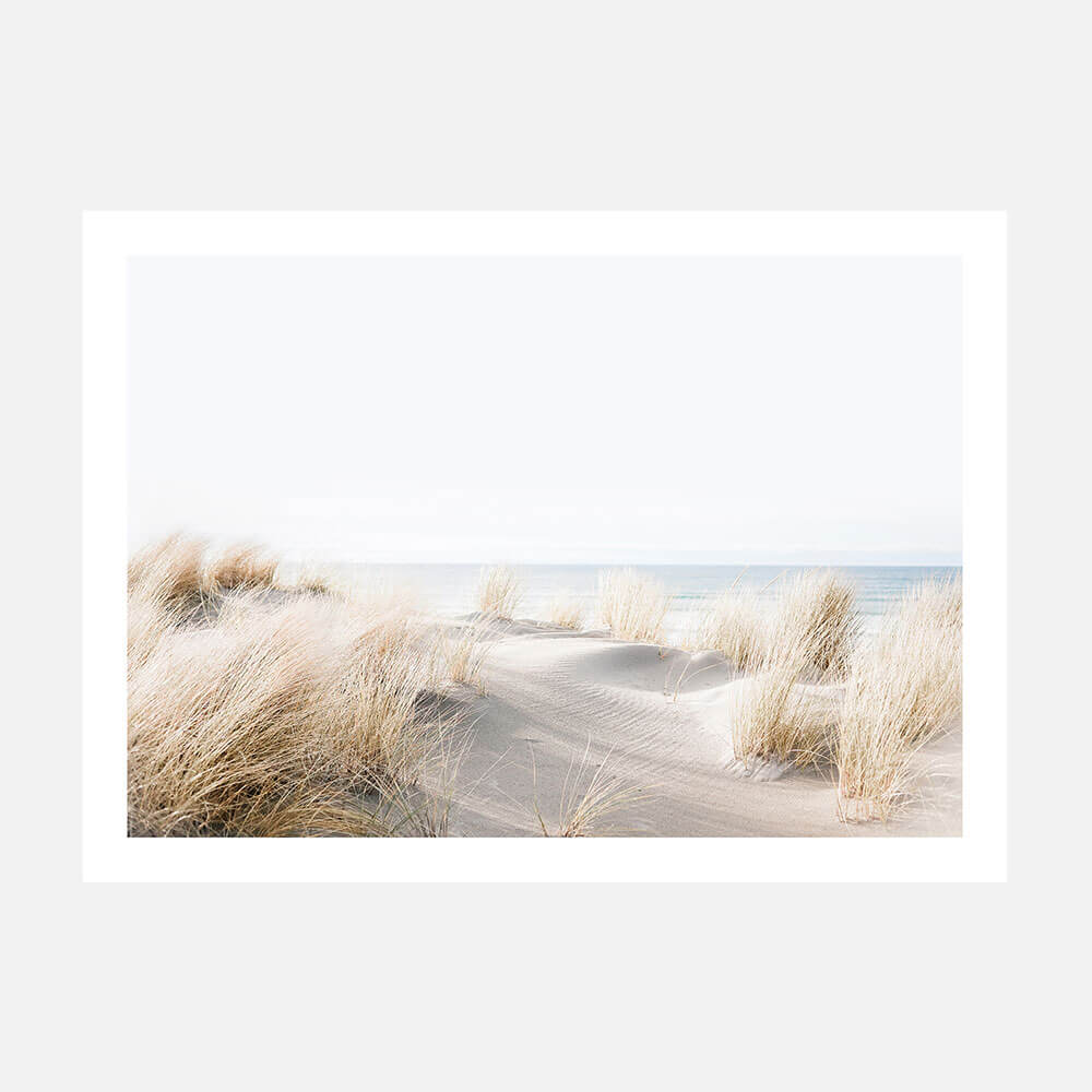 Beach Dunes