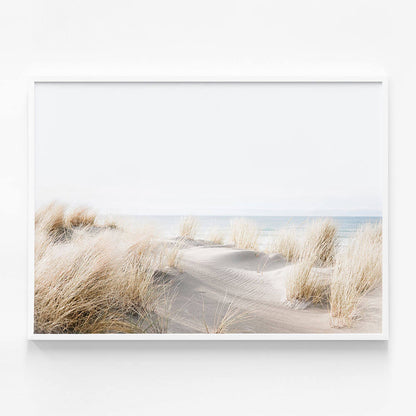 Beach Dunes