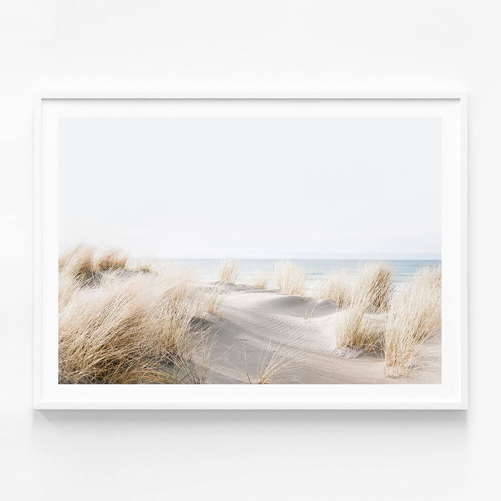 Beach Dunes