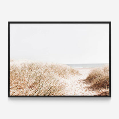 Beach Grass