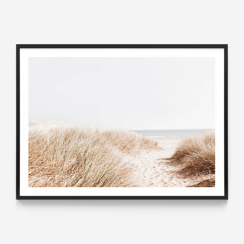 Beach Grass