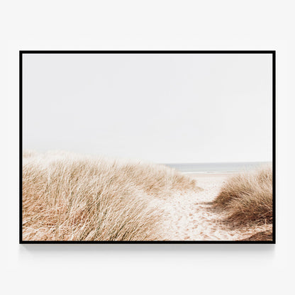 Beach Grass Canvas