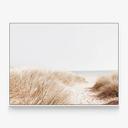 Beach Grass Canvas