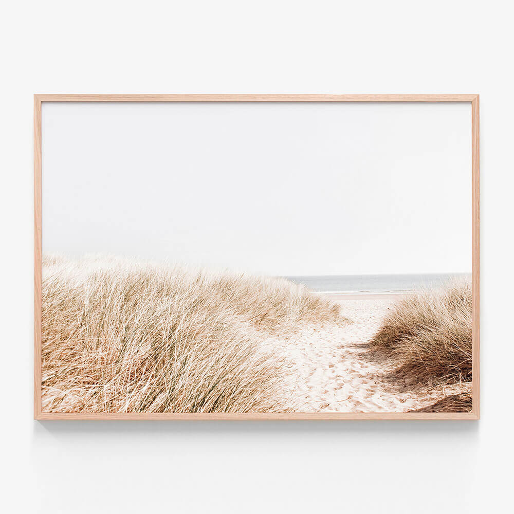 Beach Grass