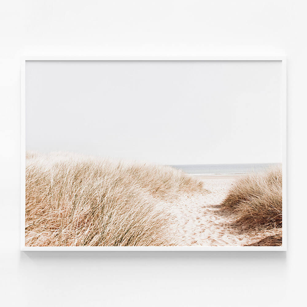 Beach Grass